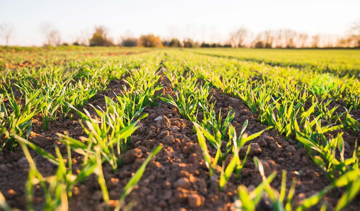 Tarpon was impressed with the levels of R&D at Agrivalle.