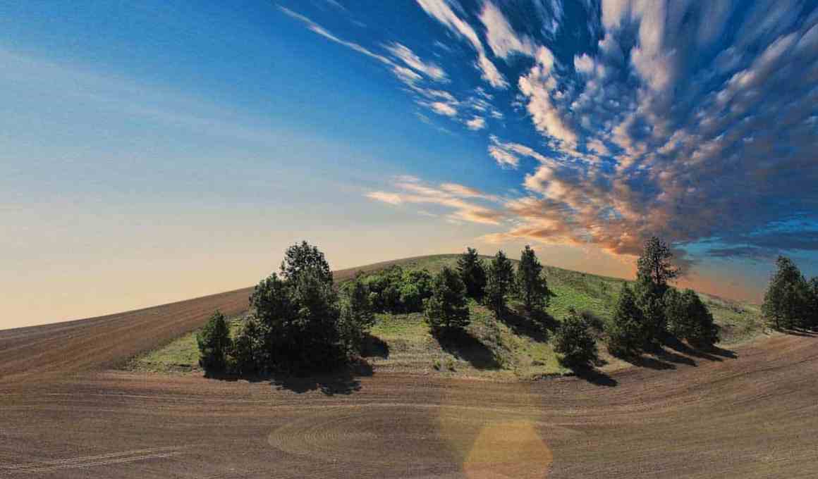 basf launches agrostart in mexico and central america, seeking to feed us sustainably in a scarcer future