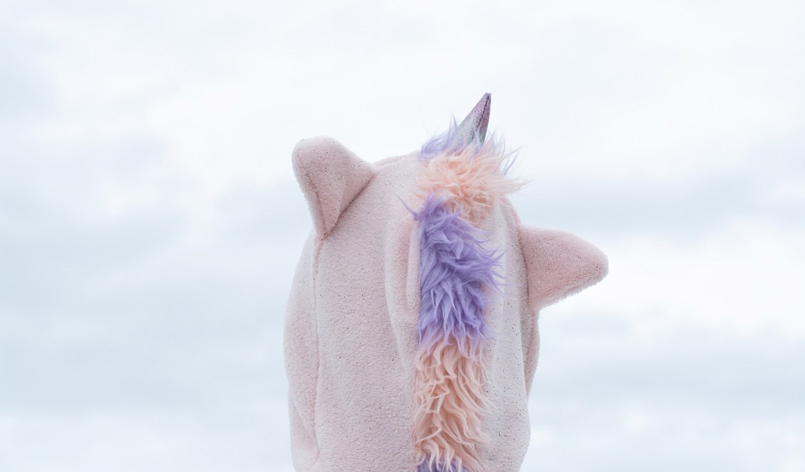 duolingo, the newest unicorn, reaches us$1.5 billion valuation