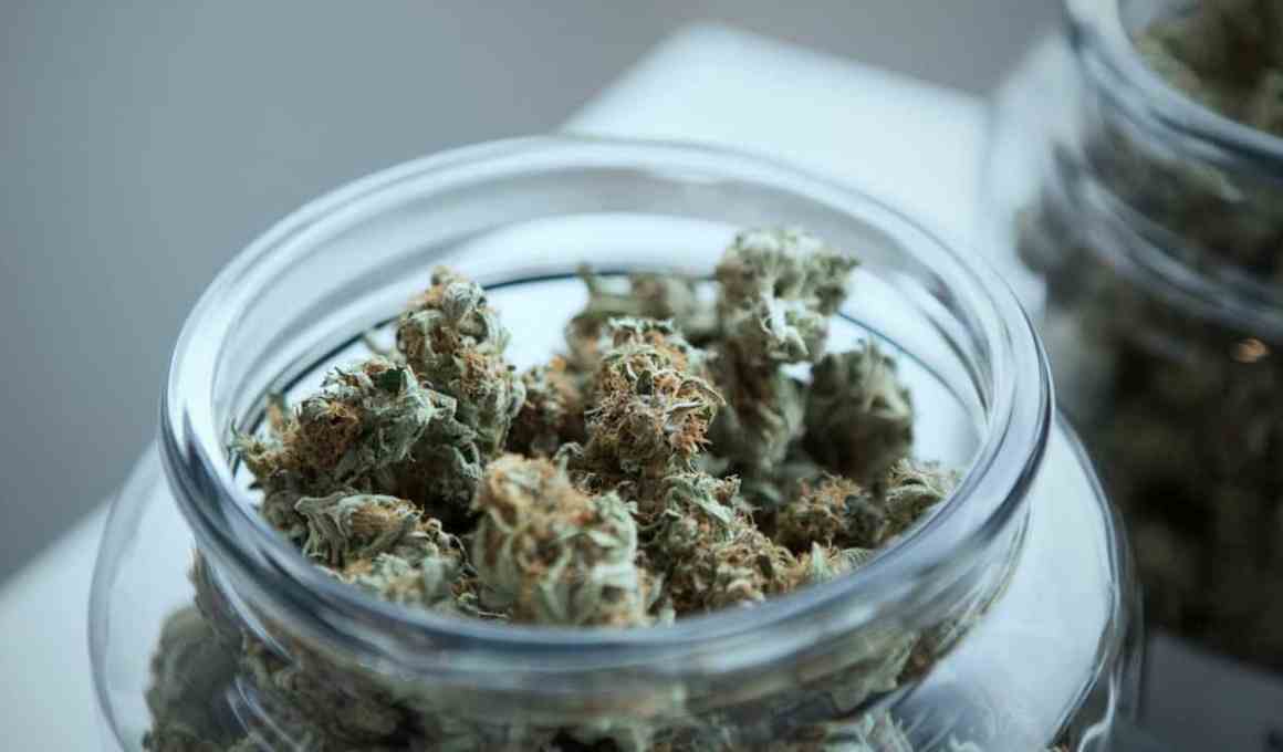 uruguay can se asoció con aeternity para desarrollar blockchain para marihuana