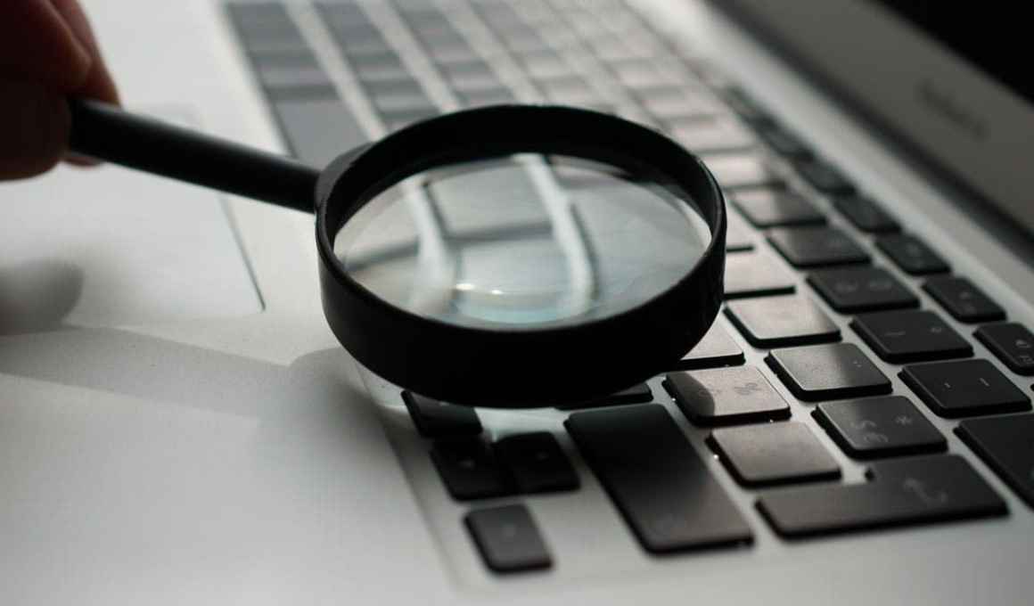 vc allvp’s free pitch deckcheckr seems suspiciously good to be true