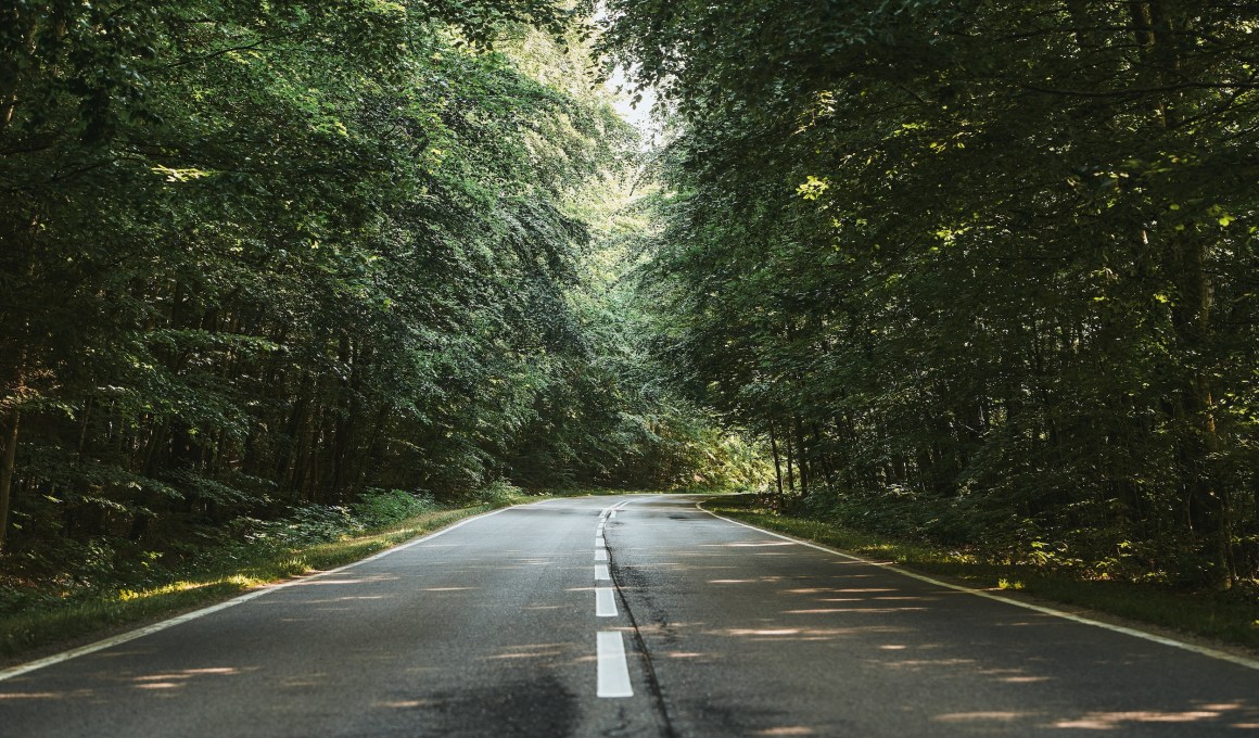 Venture Capital Outlook 2024: Challenges And Strategic Shifts