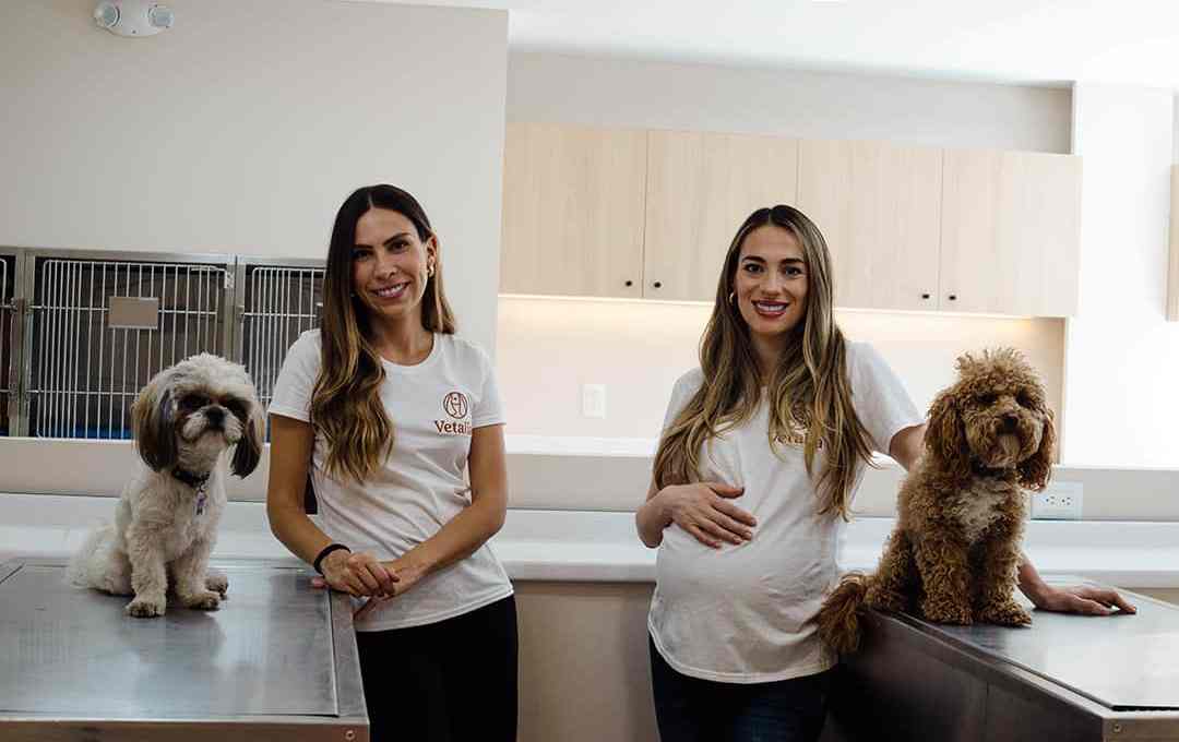 Vetalia-contxto-Pet Care