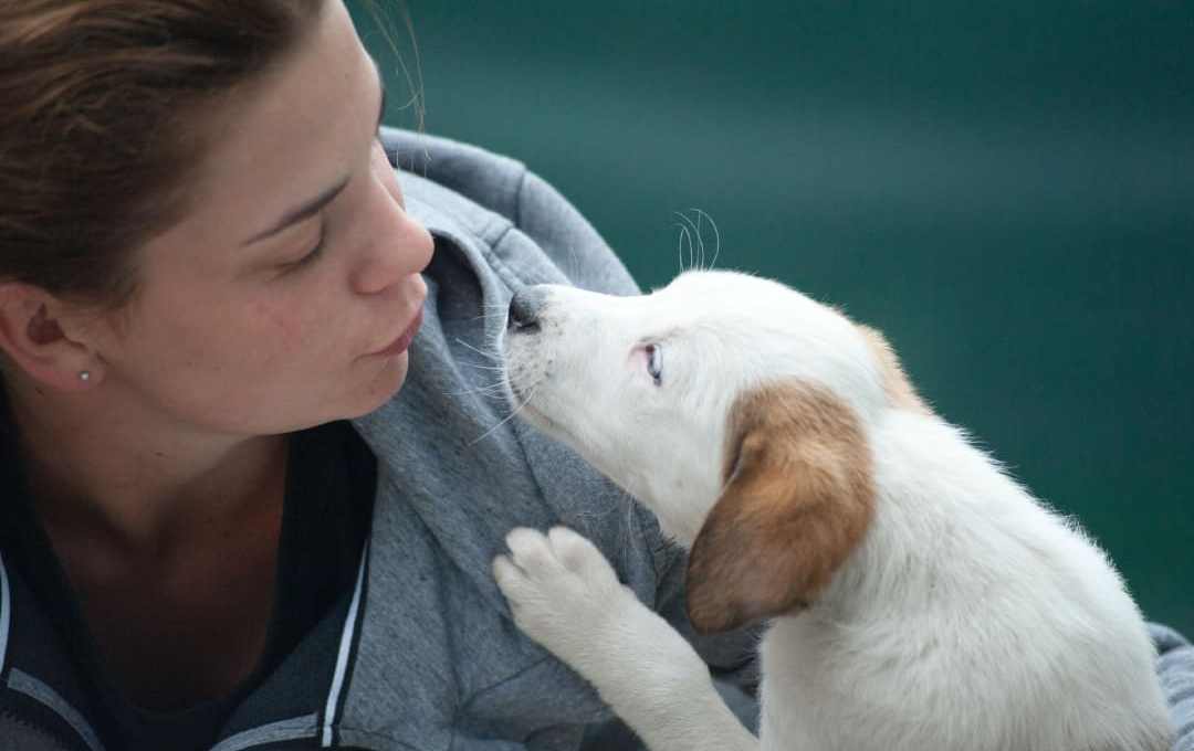 Vetlia-Mexico-Funding