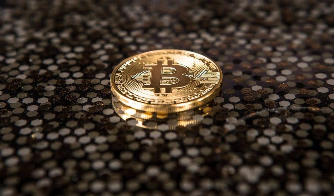 Xcapit announced its first investment round.