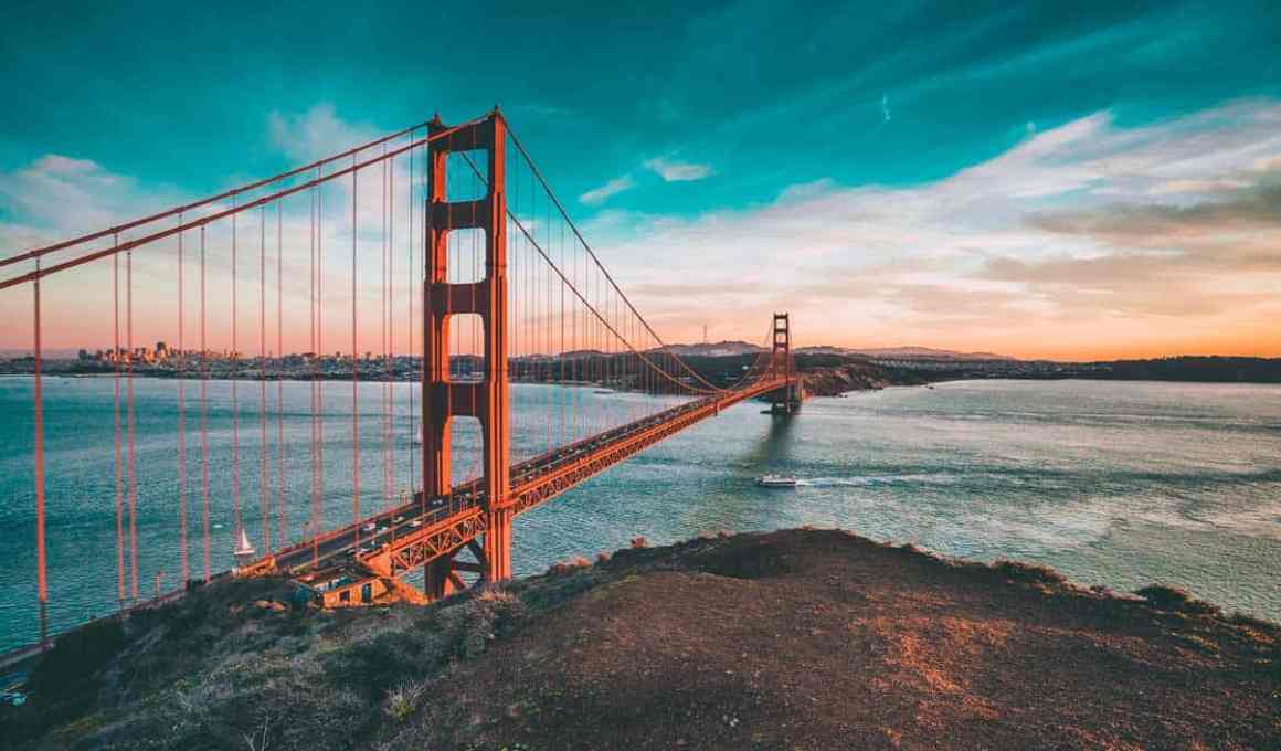 all 58 y combinator latin american startups